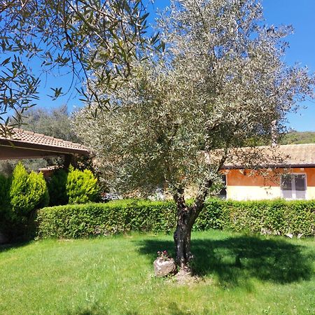 Casa Vacanza Centro Sardegna Sorgono Екстериор снимка