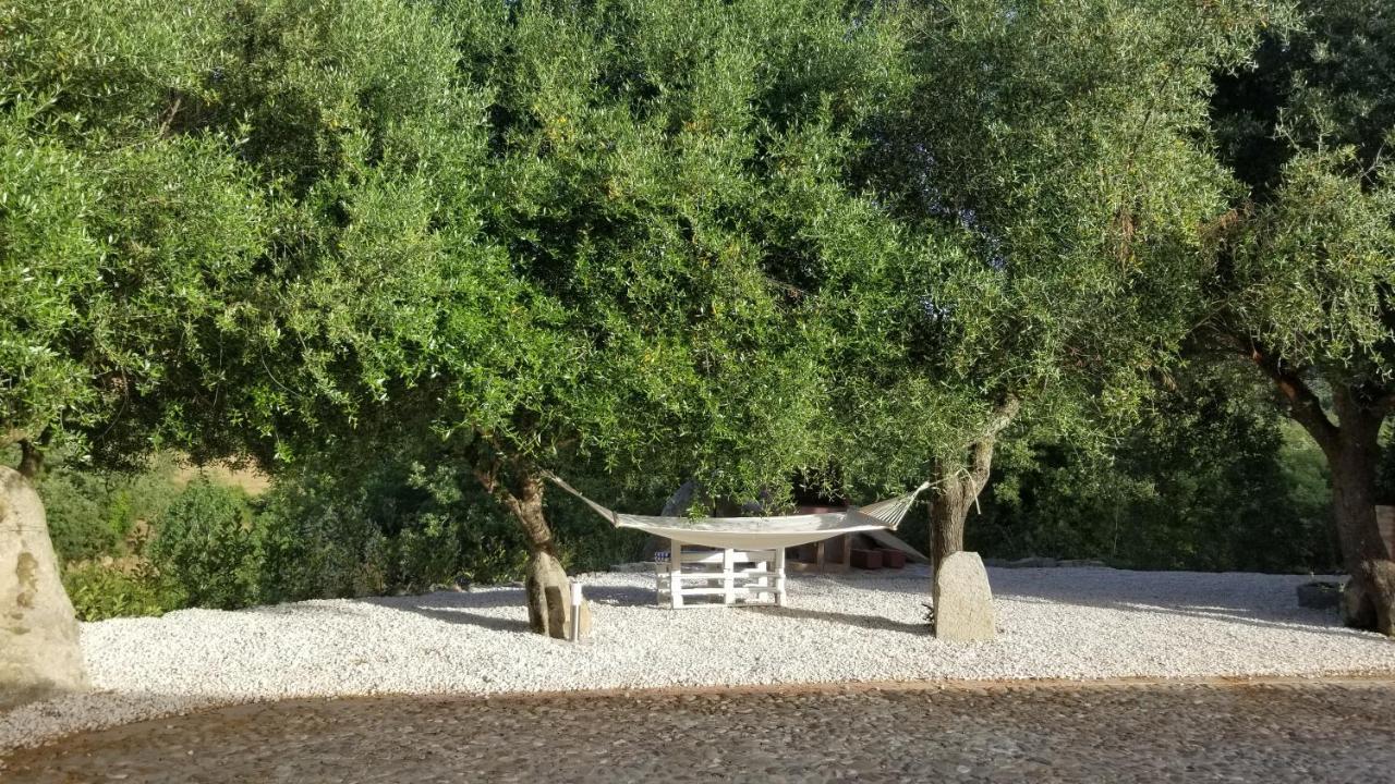 Casa Vacanza Centro Sardegna Sorgono Екстериор снимка