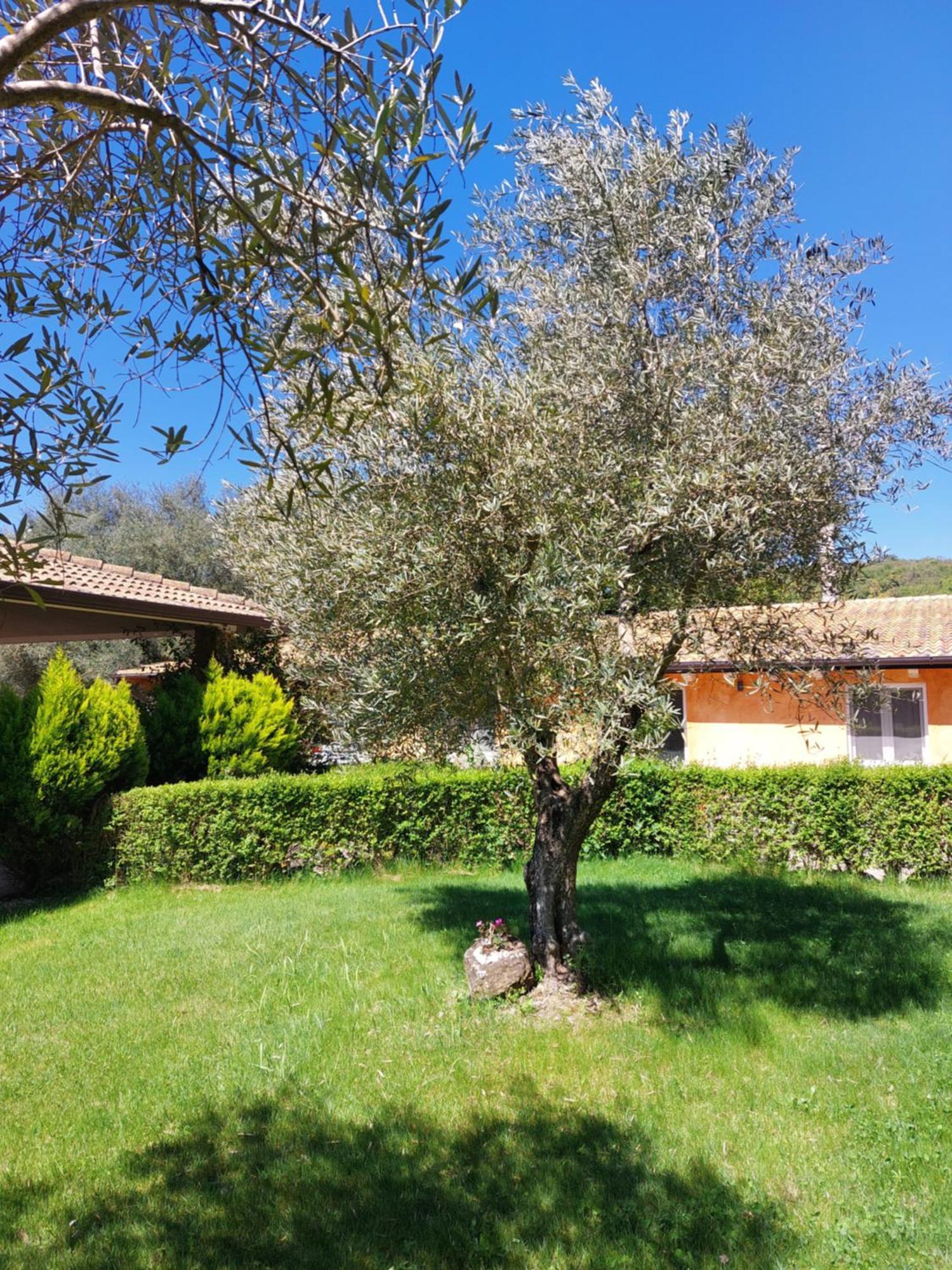 Casa Vacanza Centro Sardegna Sorgono Екстериор снимка