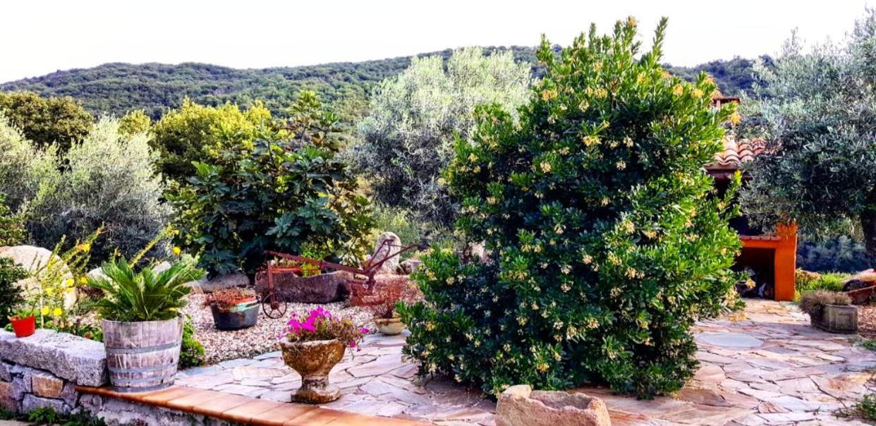 Casa Vacanza Centro Sardegna Sorgono Екстериор снимка