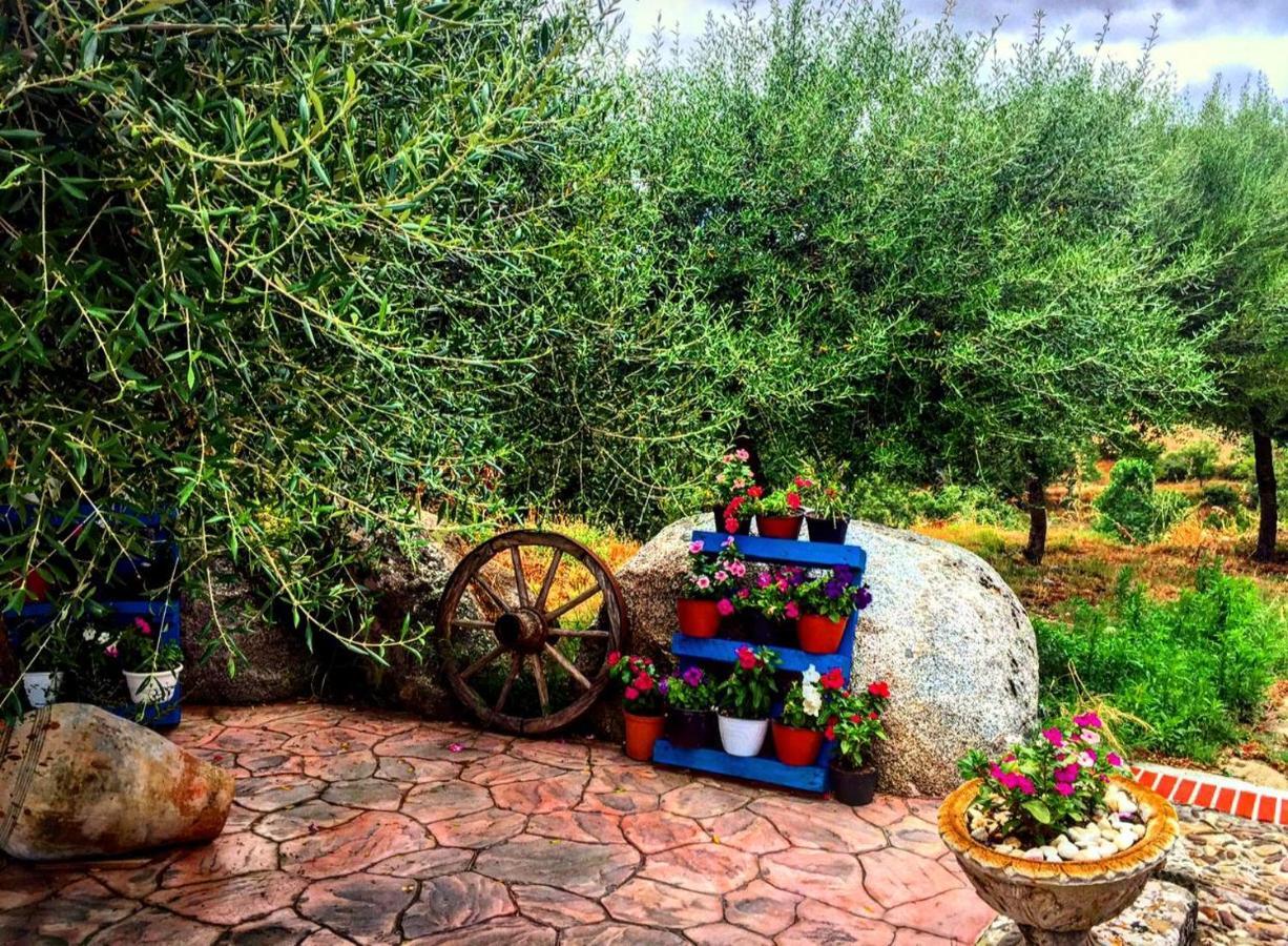 Casa Vacanza Centro Sardegna Sorgono Екстериор снимка